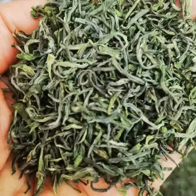 昭君白茶