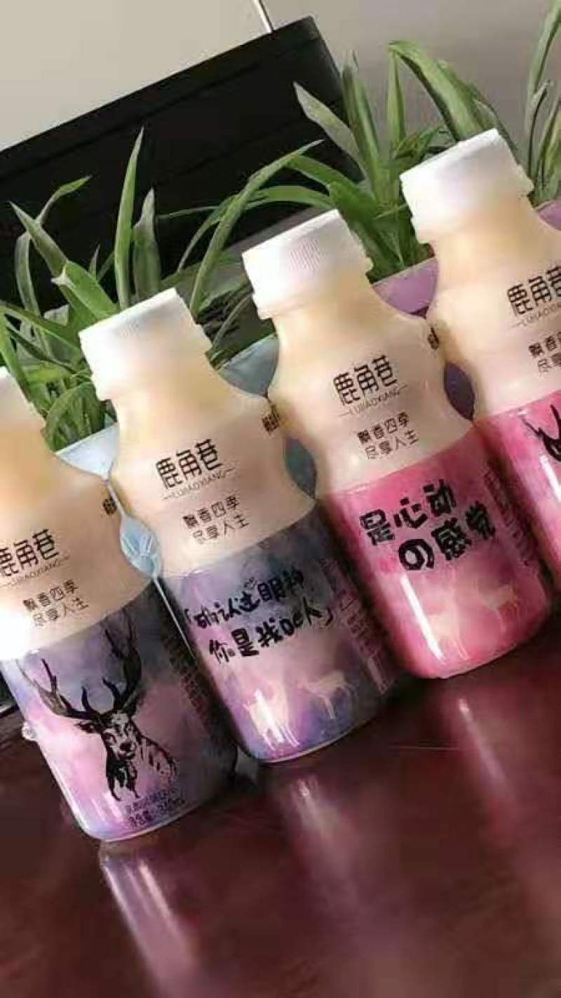 鹿角巷乳酸菌风味饮料厂家直发学生奶