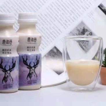 鹿角巷乳酸菌风味饮料厂家直发学生奶
