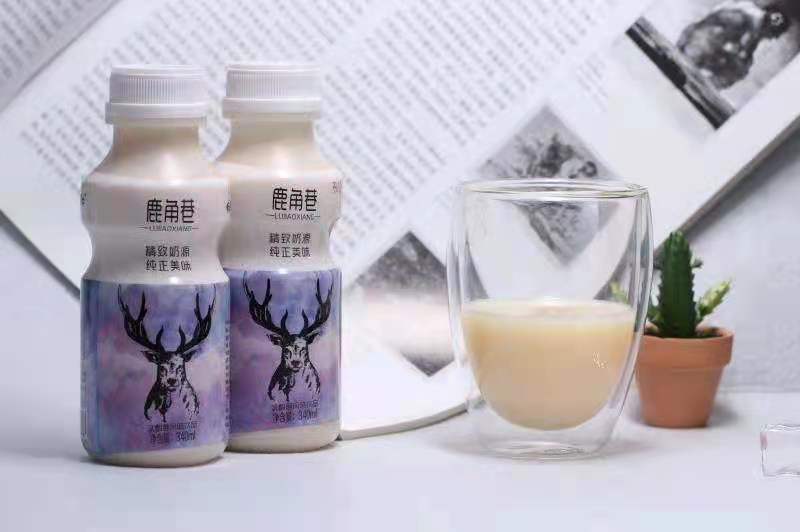 鹿角巷乳酸菌风味饮料厂家直发学生奶