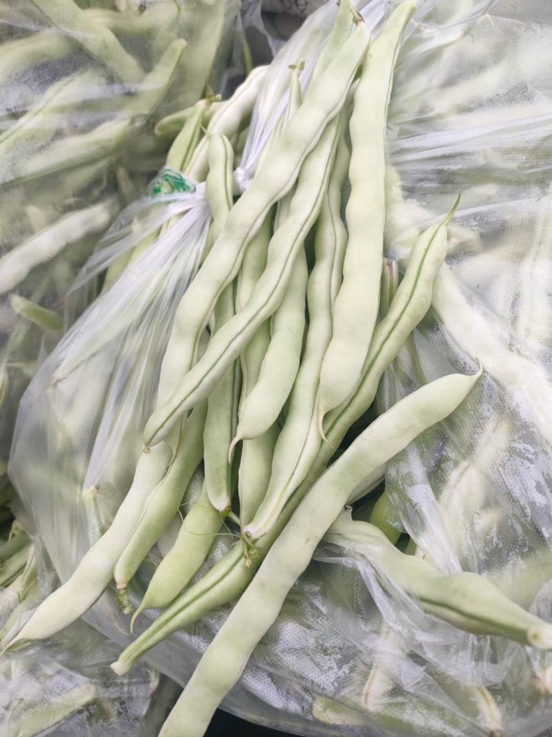平度芸豆大量上市，欢迎前来收购。
