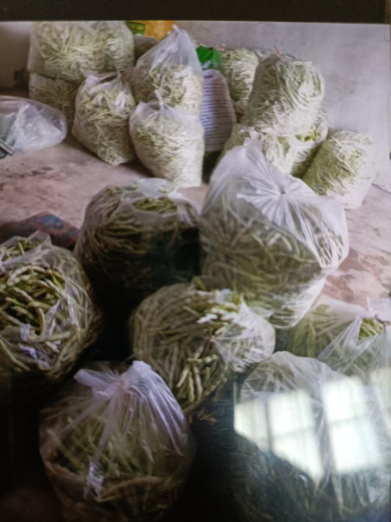 平度芸豆大量上市，欢迎前来收购。