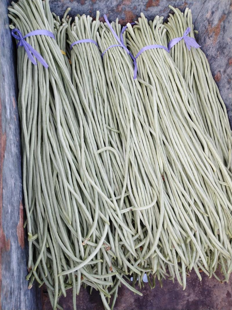 长豆角精品架豆王大量供应条直条顺色泽翠绿全国发货