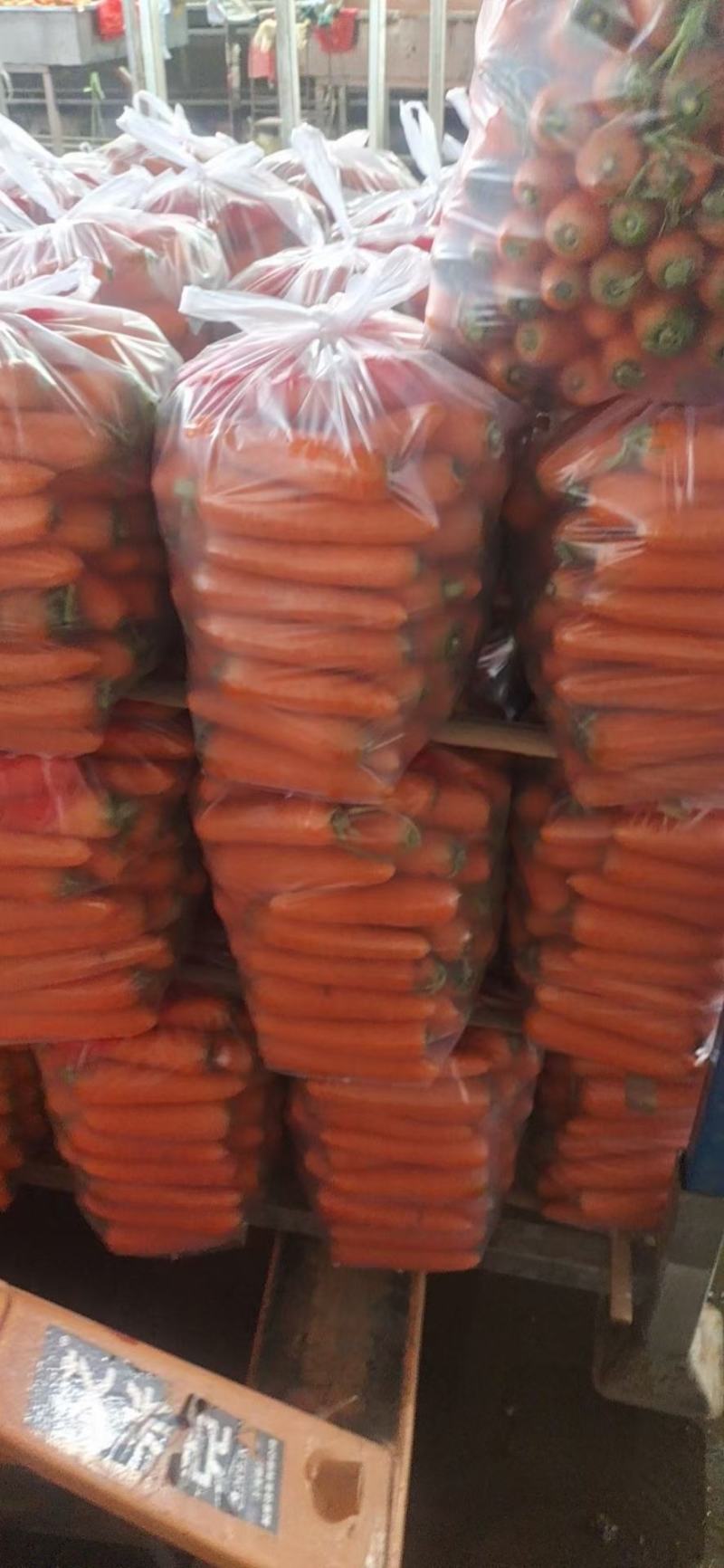 新鲜次品胡萝卜养殖用，加工厂脱水蔬菜，全年供应