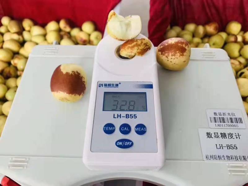 陕西冬枣价格，冬枣上市批发一件代发货源充足，诚信代办
