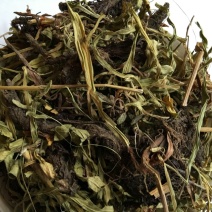 中药材甘松甘松根货品质量保证批发各种中药材