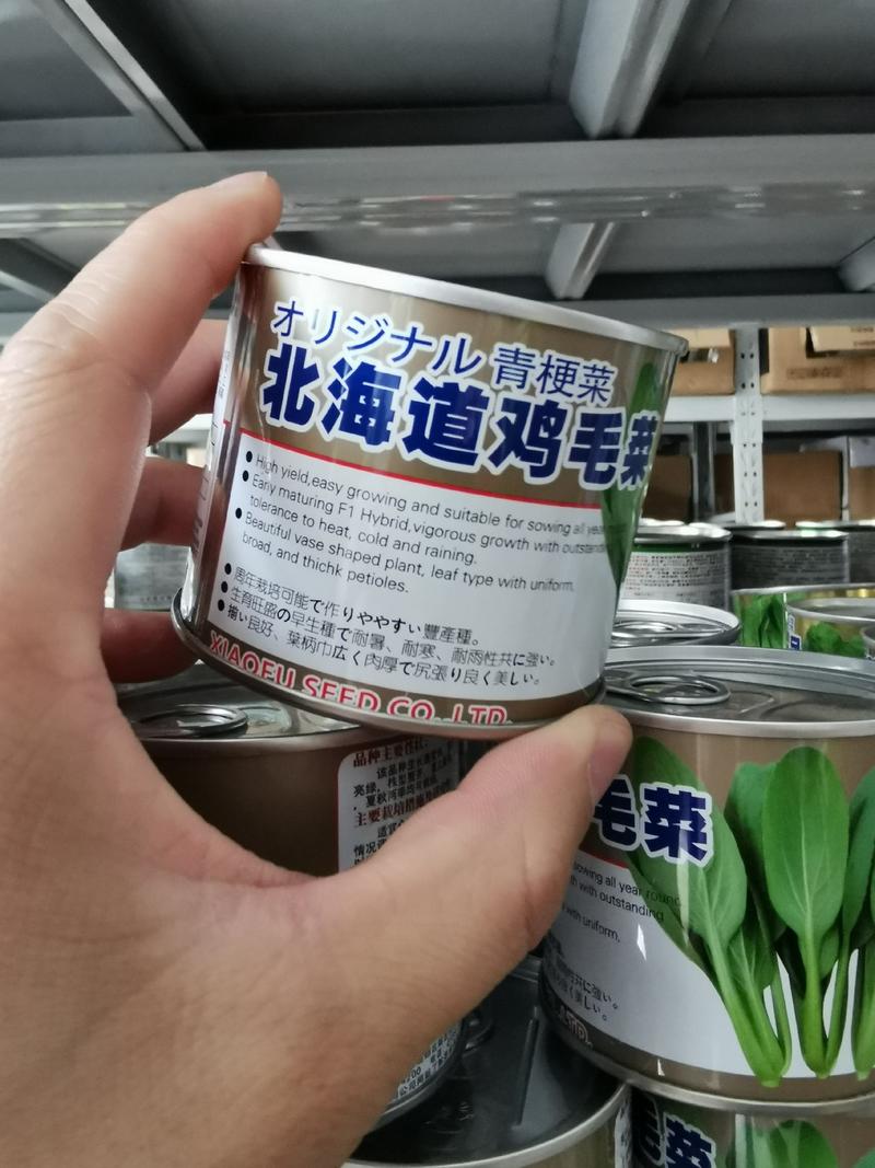 北海道鸡毛菜种子耐热耐热速生青菜种子100克