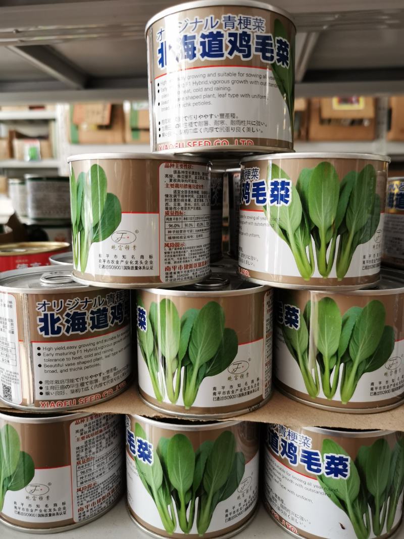 北海道鸡毛菜种子耐热耐热速生青菜种子100克