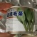 北海道鸡毛菜种子耐热耐热速生青菜种子100克