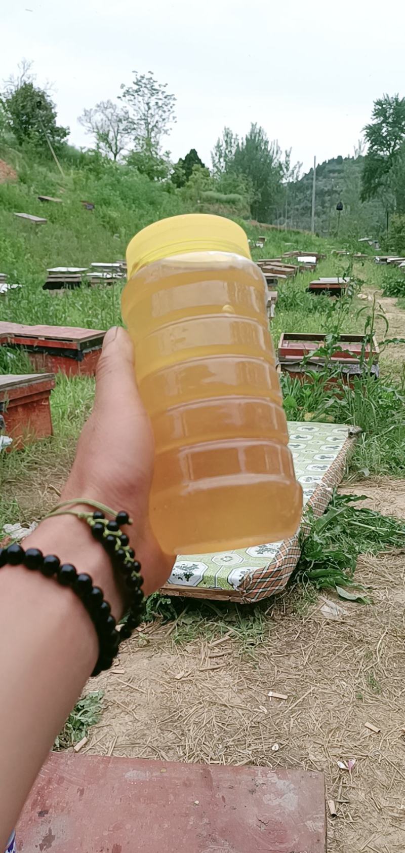 岷县黄芪土蜂蜜