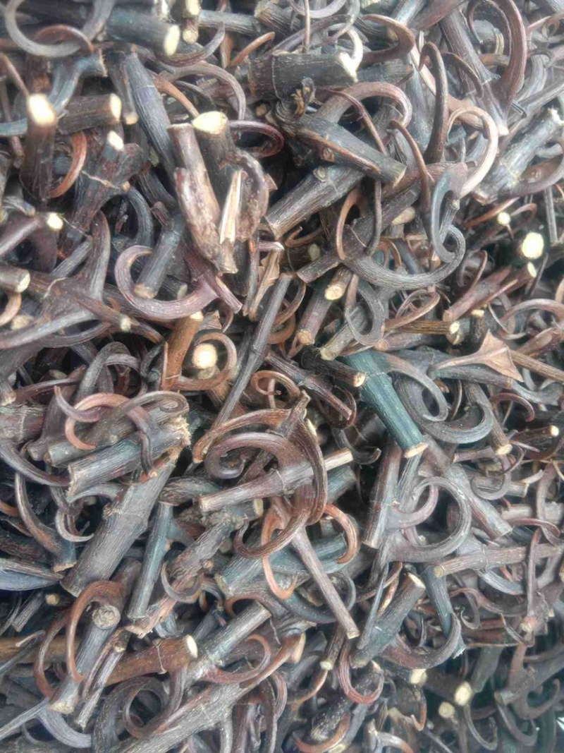 中药材钩藤货品质量保证批发各种中药材
