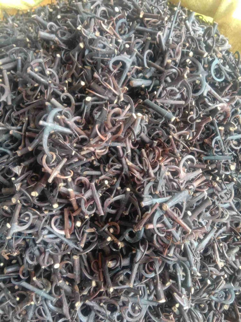 中药材钩藤货品质量保证批发各种中药材
