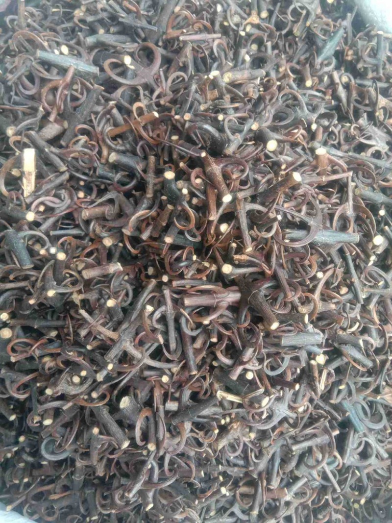 中药材钩藤货品质量保证批发各种中药材