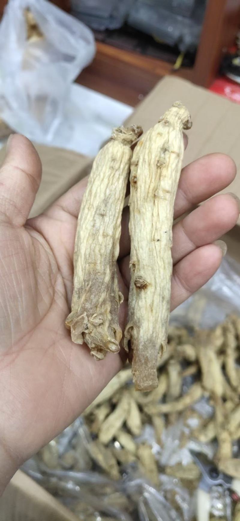 吉林长白山直发，黄皮红肉，东洋参大力参精装！