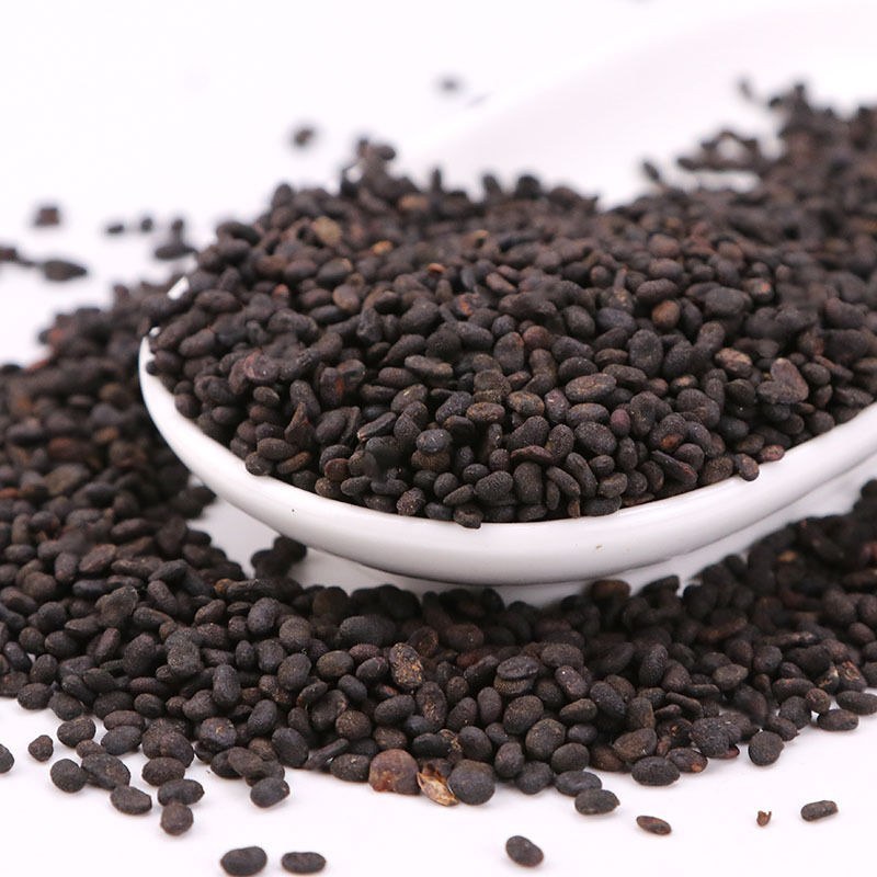补骨脂中药材补骨脂泡酒关节药补骨脂粉补骨脂泡茶无硫野生补