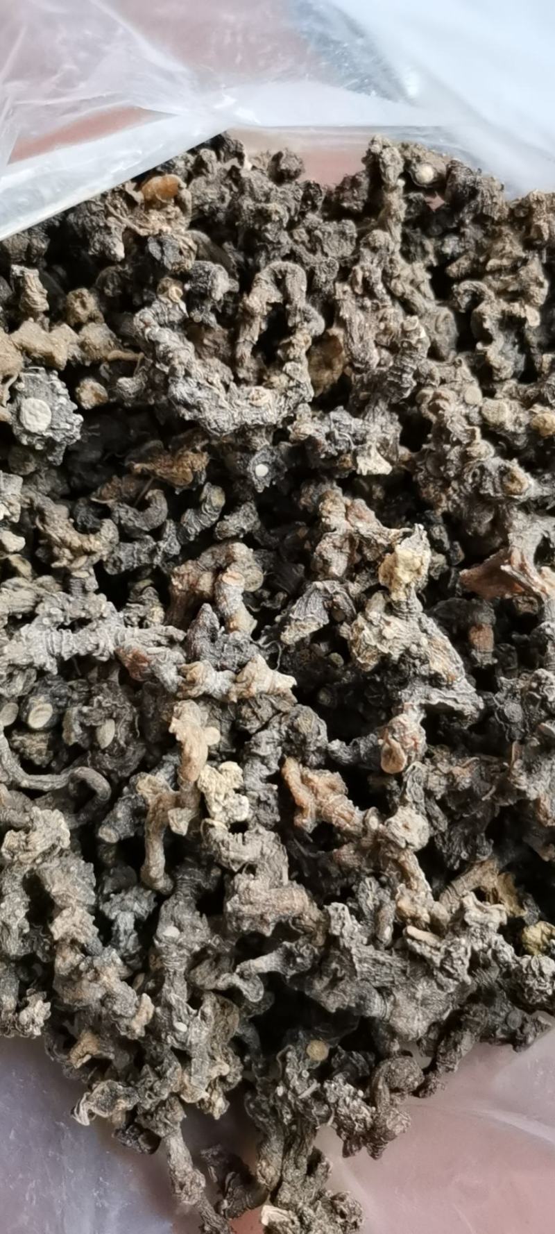 野生多花黄精，块茎种苗，鲜货干货批发，价格美丽