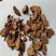中药材金荞麦货品质量保证批发各种中药材