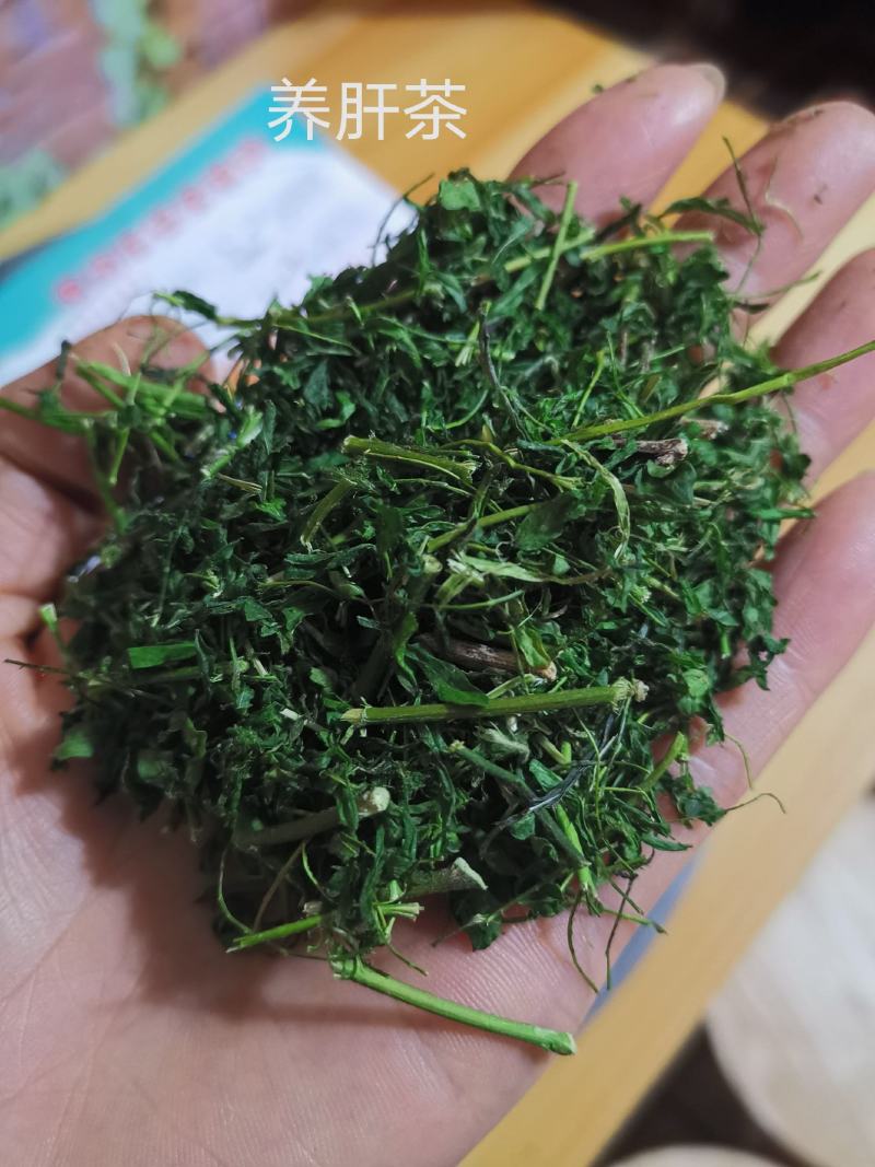 养肝、护肝茶，相思茶2021年新货，量大优惠，欢迎详聊。