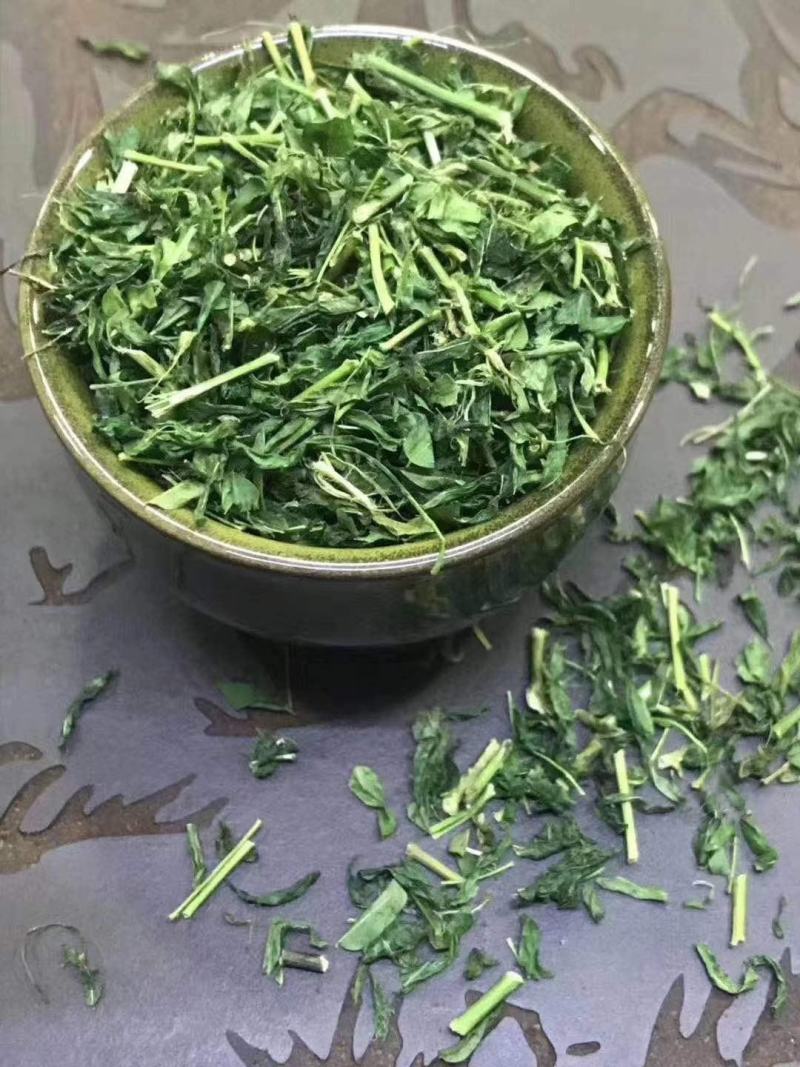 养肝、护肝茶，相思茶2021年新货，量大优惠，欢迎详聊。