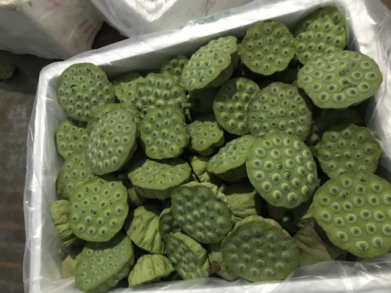 水生新鲜莲蓬
