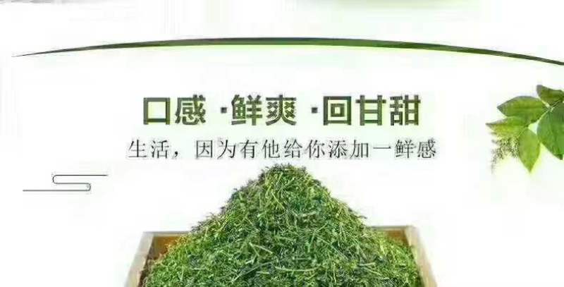 养肝、护肝茶，相思茶2021年新货，量大优惠，欢迎详聊。