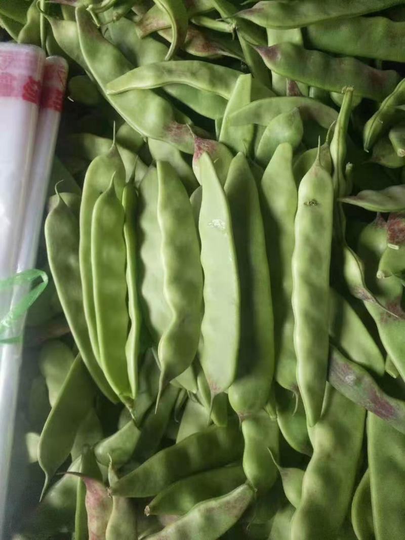 油豆角，油豆，