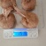 藏红花种球低价出售包质量量大优惠