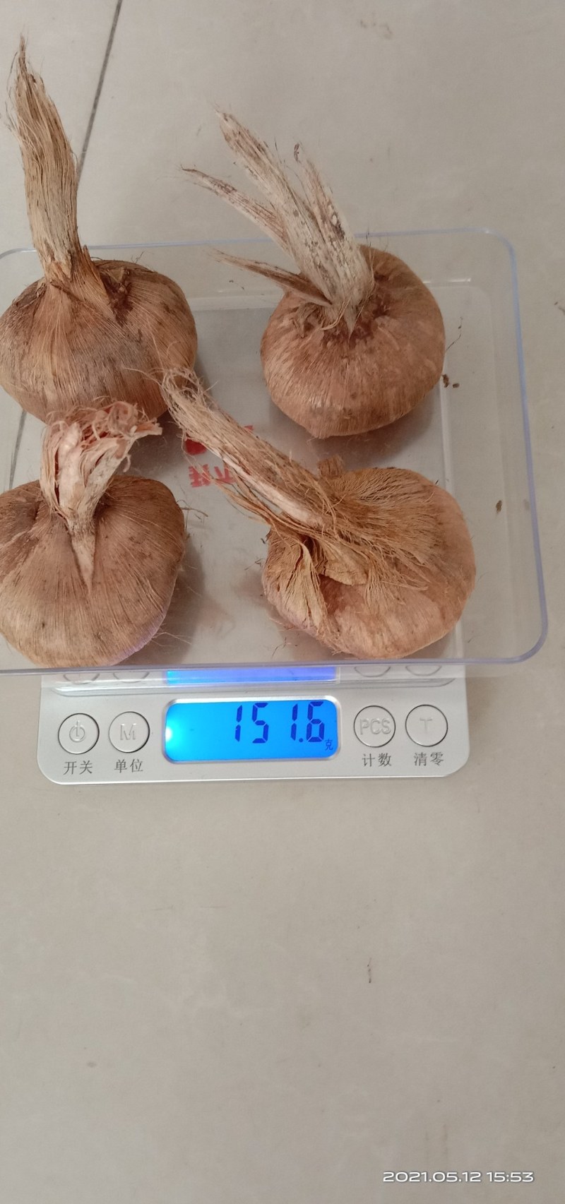 藏红花种球低价出售包质量量大优惠
