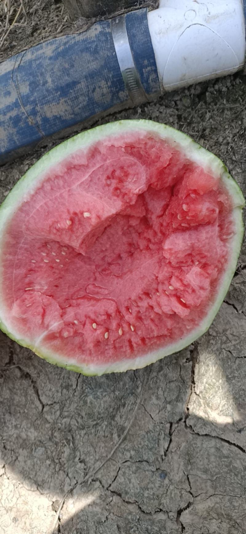 西瓜