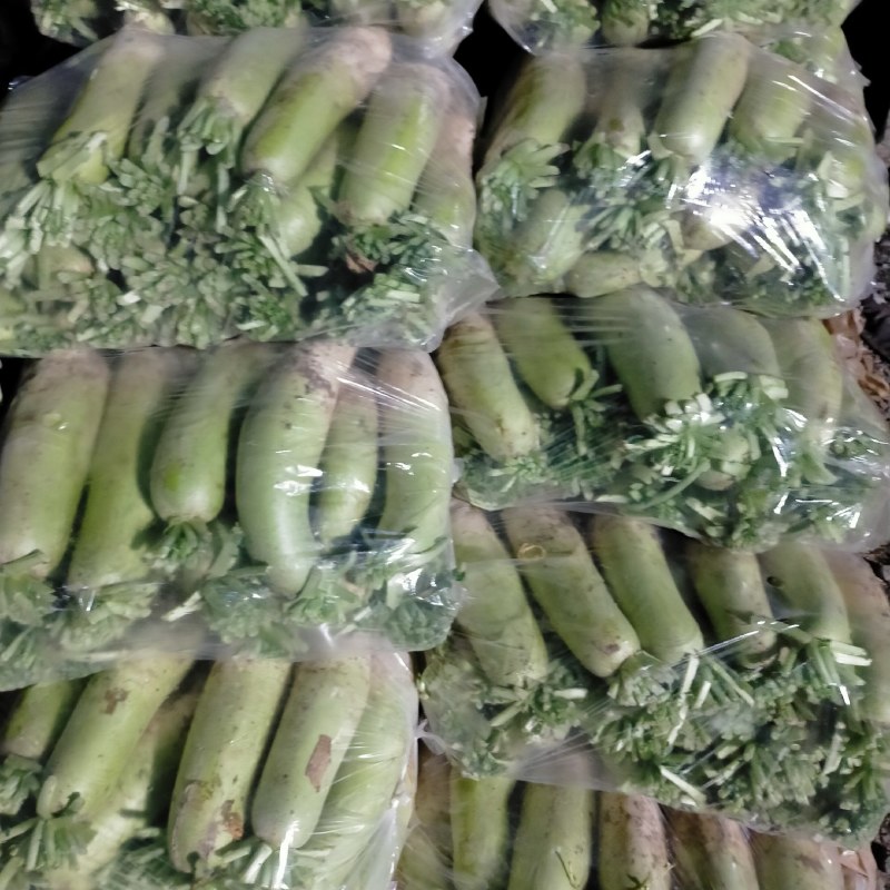 青头萝卜，质量好，一到3斤，产地直销，口感好，颜色漂亮，