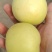 银白杏