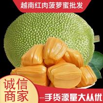 越南红肉菠萝蜜，一手货源产地代办清关一条龙服务