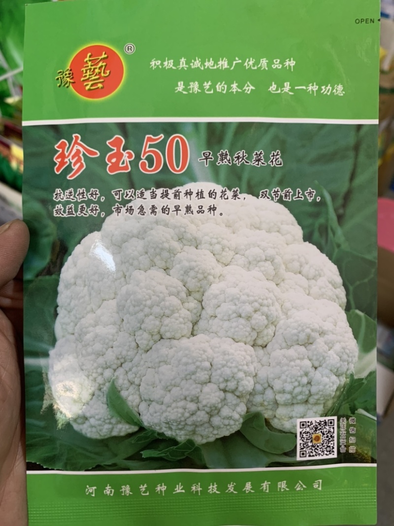 珍玉50极早熟秋花菜抗逆性强可提早种植