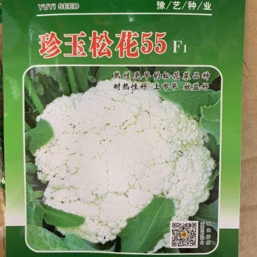 珍玉松花55耐热性好上市早效益好河南农大豫艺出品