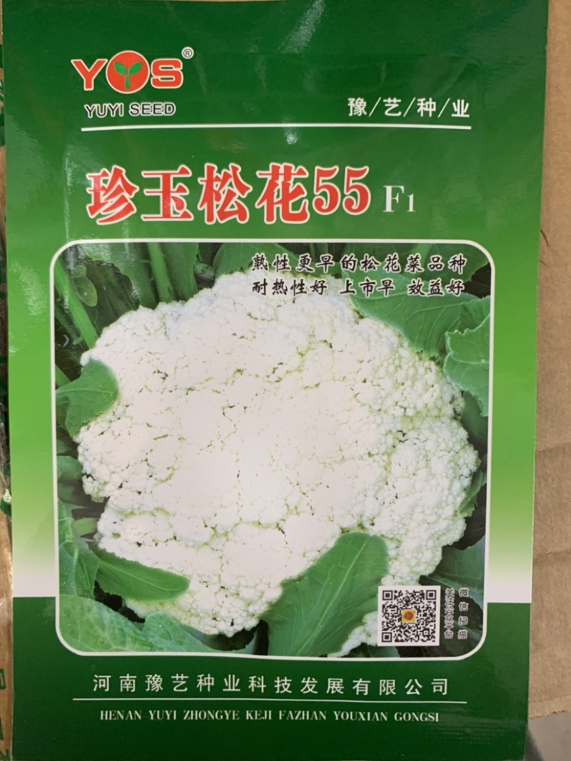 珍玉松花55耐热性好上市早效益好河南农大豫艺出品