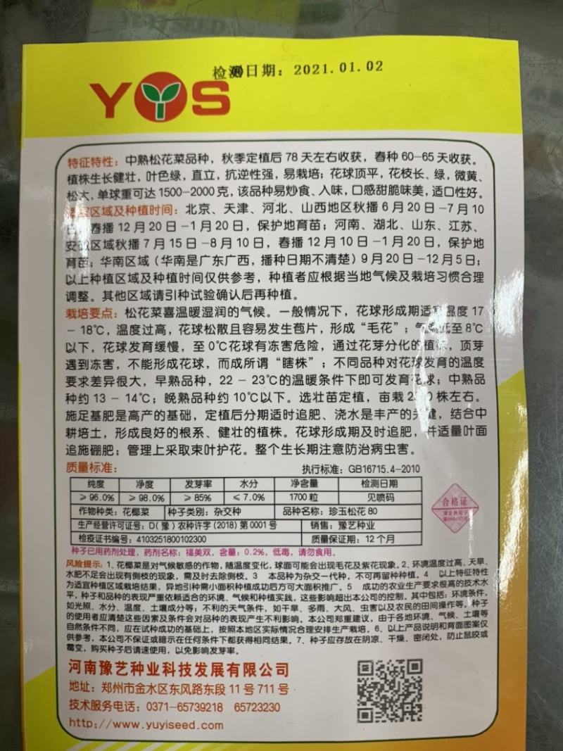 珍玉松花80产量高口味独特效益好单球2公斤