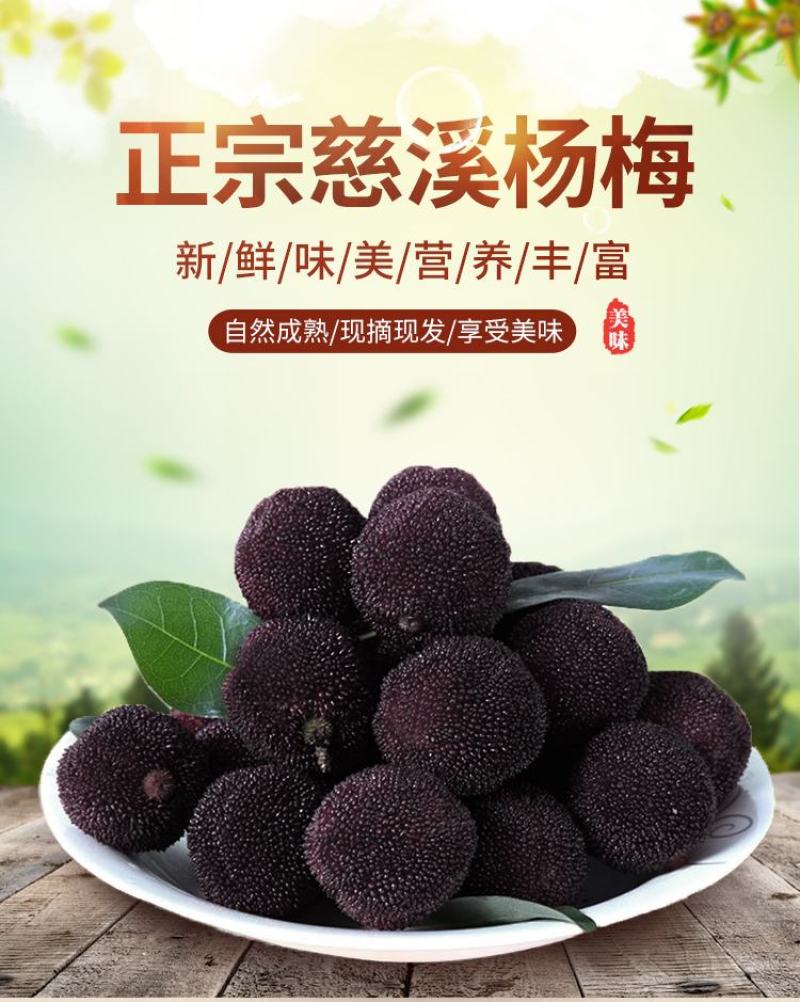 慈溪本地杨梅顺丰空运江浙沪包邮新鲜送达