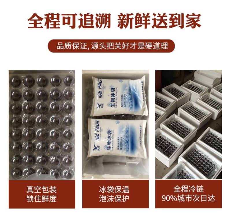 慈溪本地杨梅顺丰空运江浙沪包邮新鲜送达