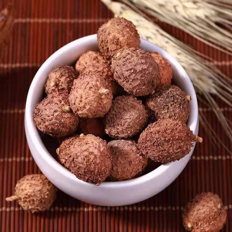 春砂仁广东正宗春砂仁中药材春砂仁养胃泡茶煲汤蒸肉