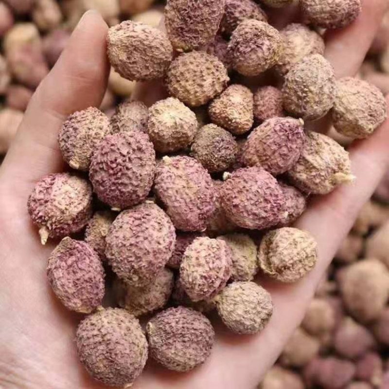 春砂仁广东正宗春砂仁中药材春砂仁养胃泡茶煲汤蒸肉