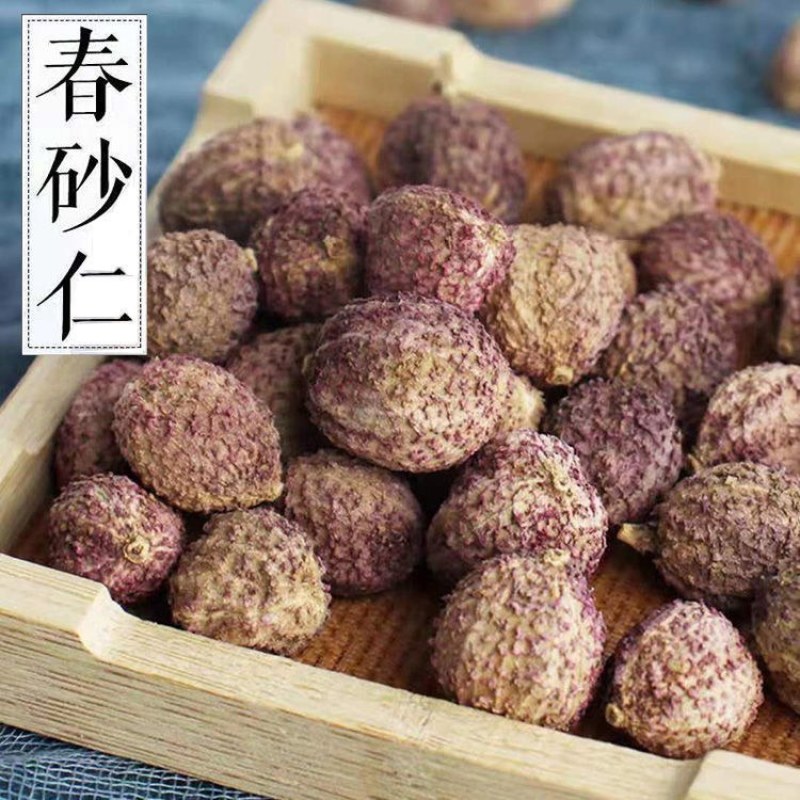 春砂仁广东正宗春砂仁中药材春砂仁养胃泡茶煲汤蒸肉