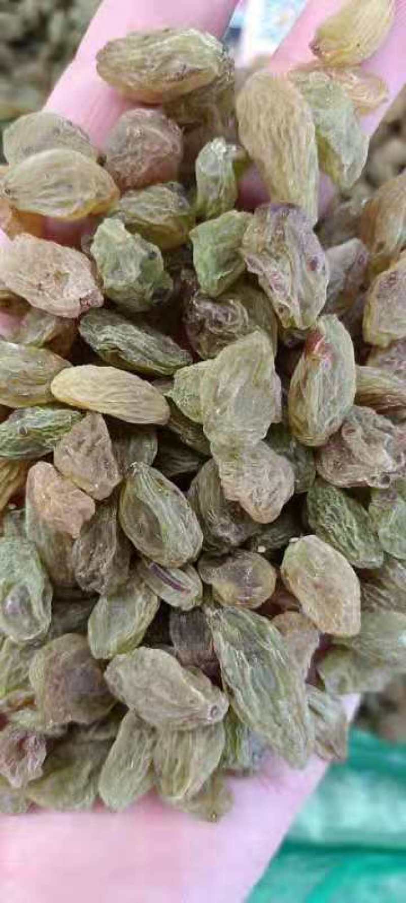新疆葡萄干大颗粒无核葡萄干厂家对接电商社区团购货源