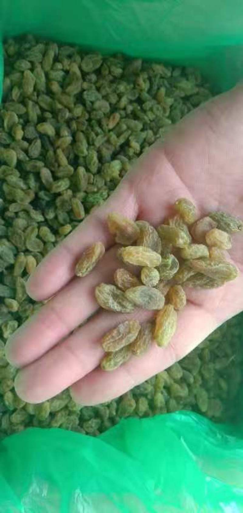 新疆葡萄干大颗粒无核葡萄干厂家对接电商社区团购货源