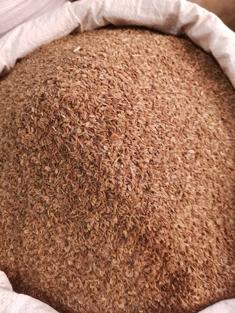 优质西北小茴香进口货无杂净货量大从优