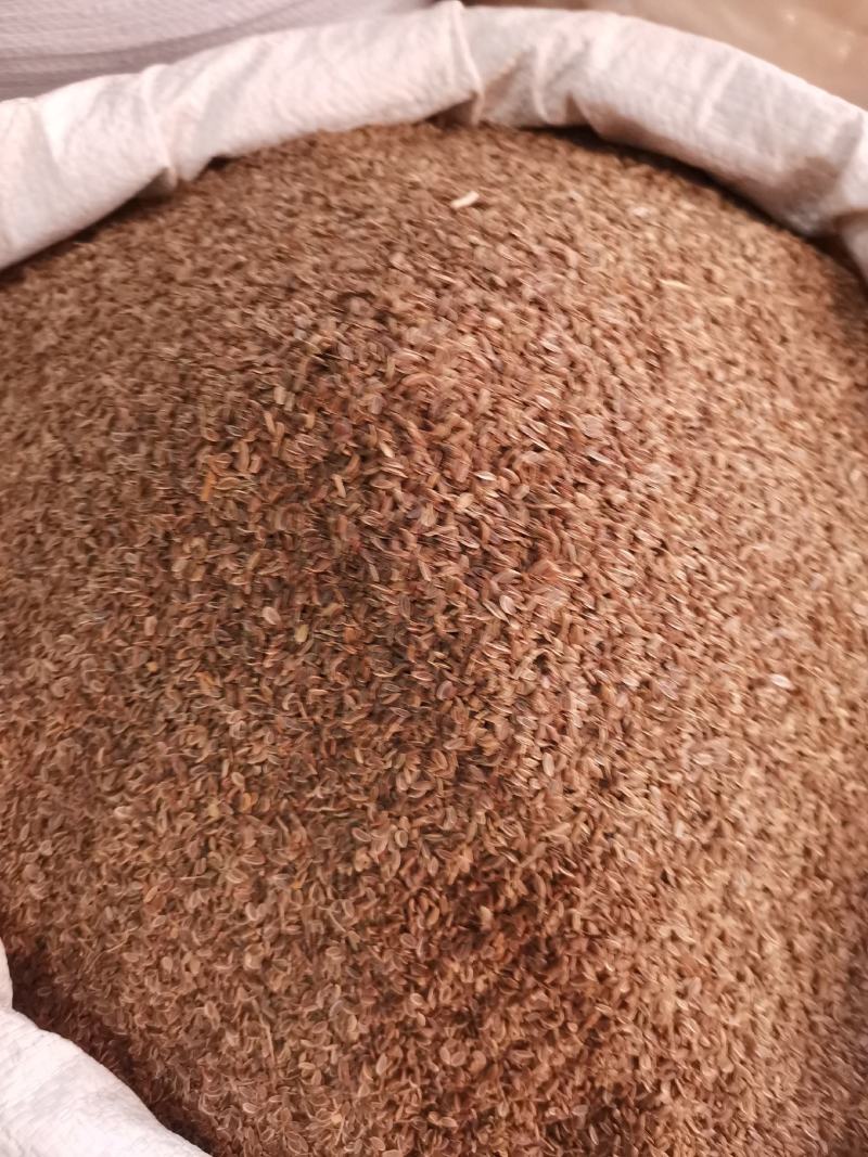 优质西北小茴香进口货无杂净货量大从优
