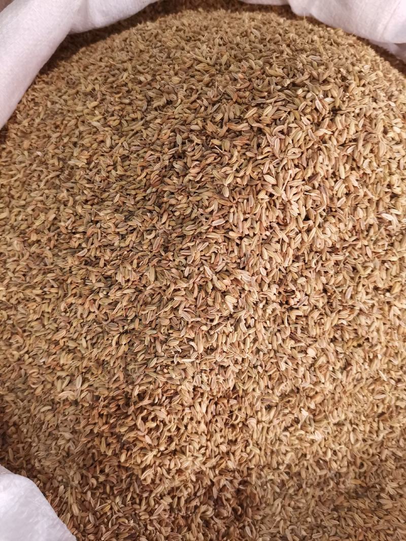 优质西北小茴香进口货无杂净货量大从优