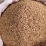优质西北小茴香进口货无杂净货量大从优