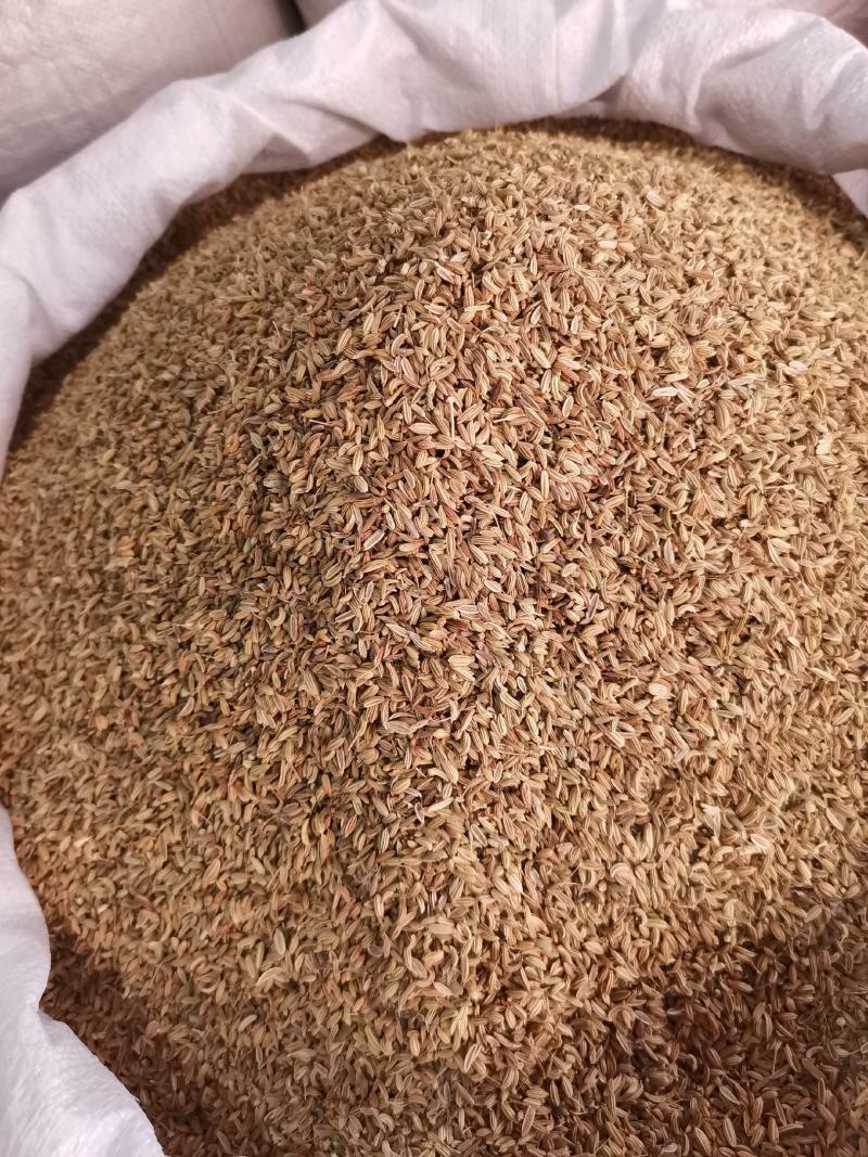 优质西北小茴香进口货无杂净货量大从优