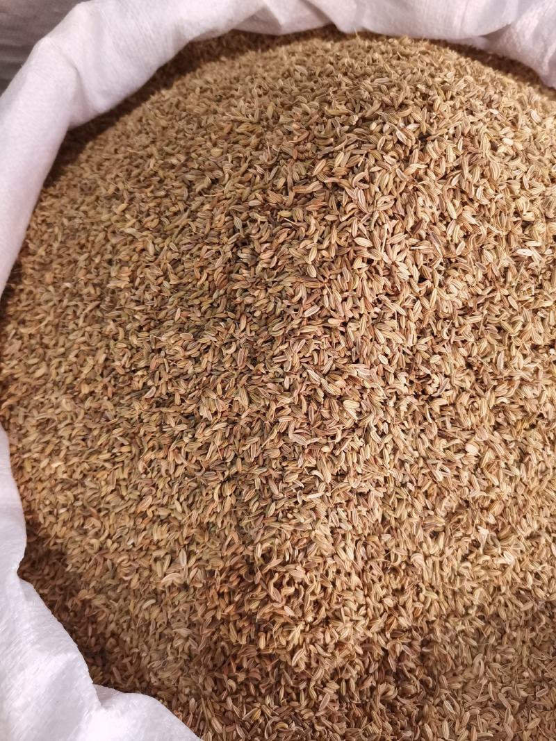 优质西北小茴香进口货无杂净货量大从优