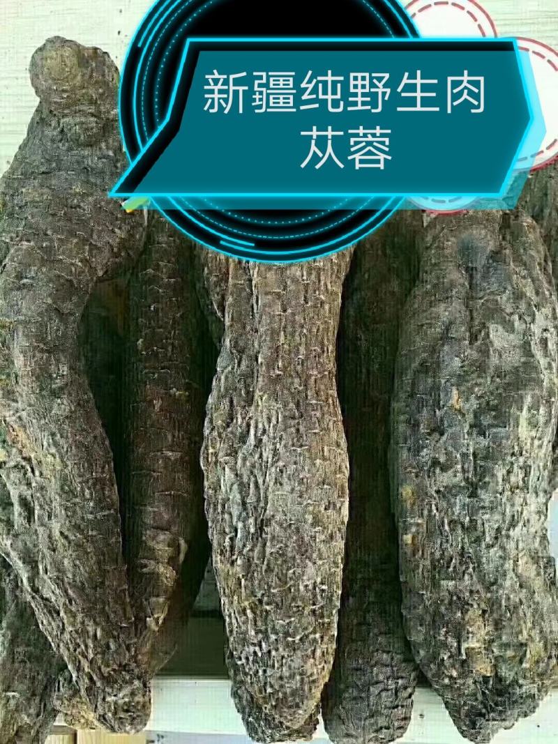 纯野生新疆肉苁蓉，硬质，长15厘米左右，一公斤5到7个。